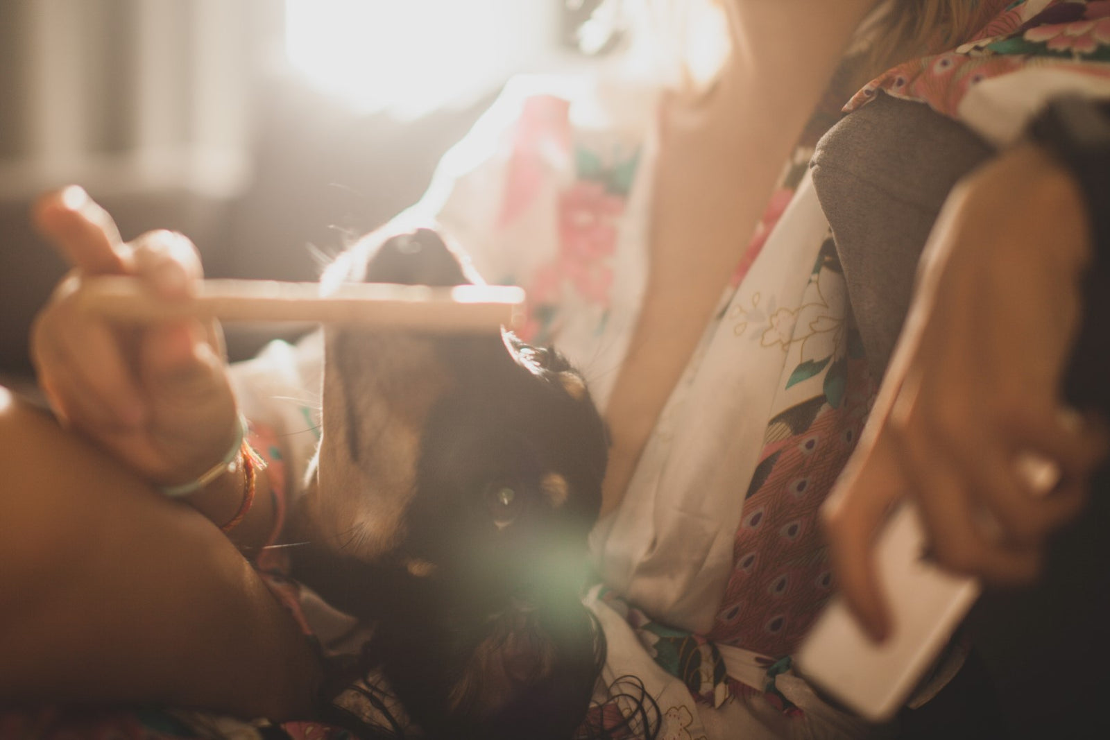 BOLLI-Dog-Owner-Jacket-Clothes-Dog-Love